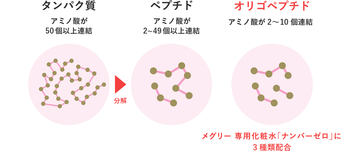 土台からハリ・弾力を育む贅沢な3種の「炭酸ペプチド」