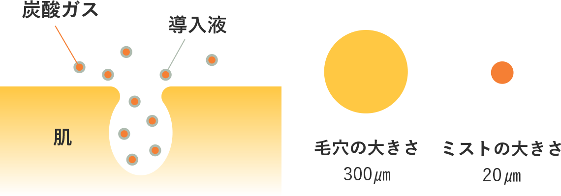 毛穴の約 1/15 サイズの超微細ミストで肌へ浸透