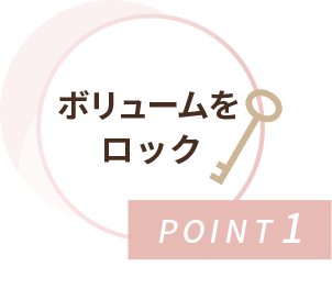 POINT1 ボリュームをロック