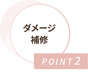 POINT2 ダメージ補修