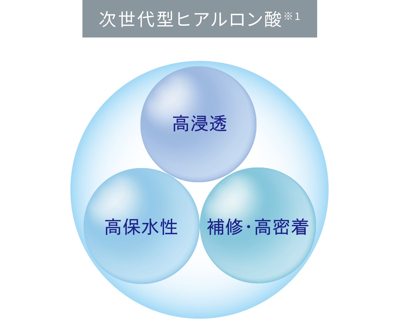 ヒアルロン酸効果が進化