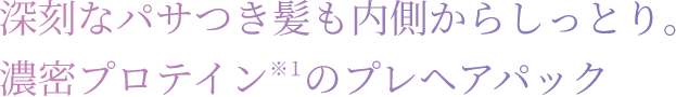 深刻なパサつき髪も内側からしっとり。濃密プロテイン※1のプレヘアパック