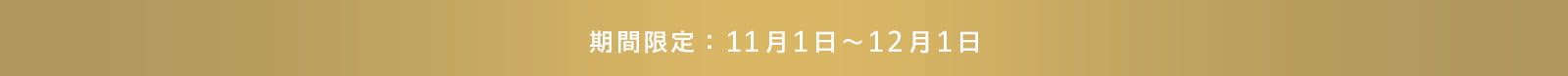 期間限定：2024年11月1日～12月1日