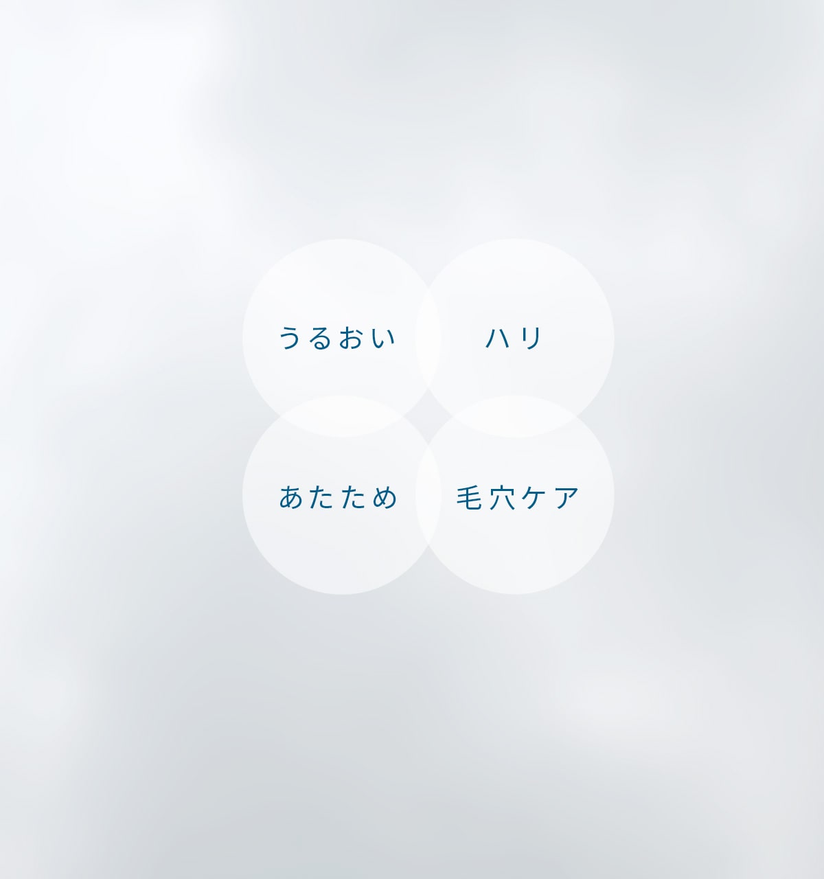 10秒で始まる、エステ級の肌。