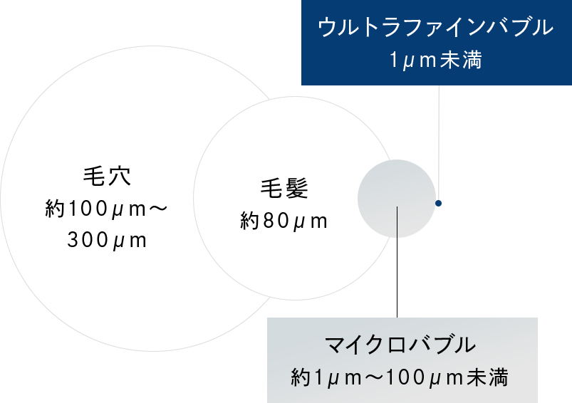 肌を美しくする2つの泡