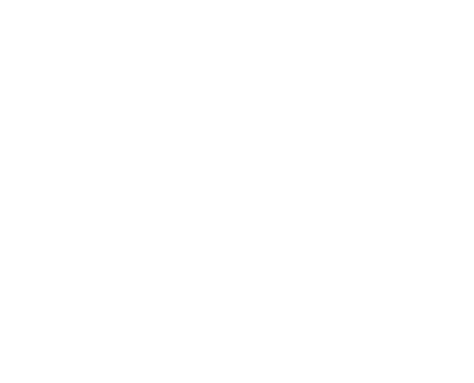 速乾※とサロン級の仕上がりを使いやすくコンパクトに実現。