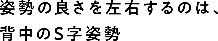 姿勢の良さを左右するのは、背中のS字姿勢