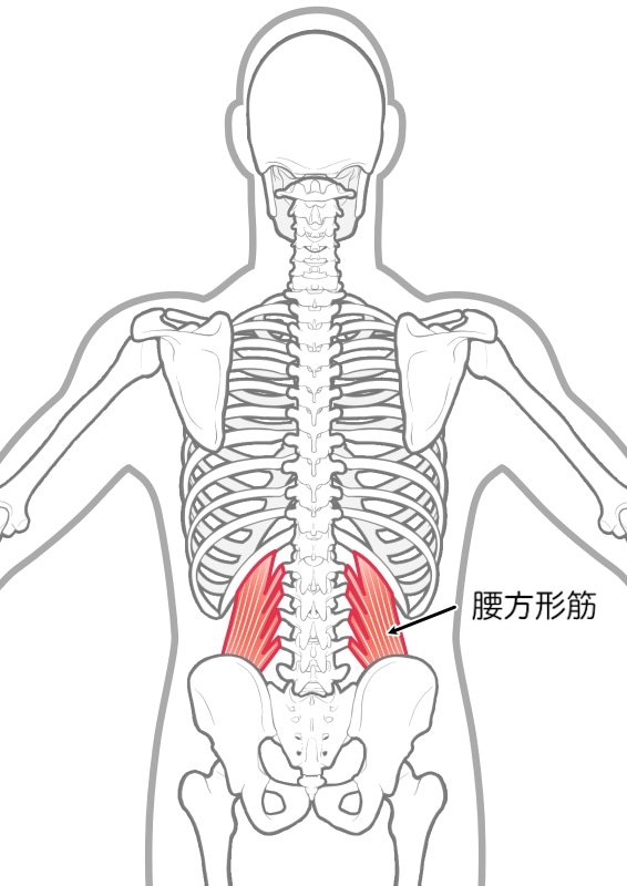 腰方形筋