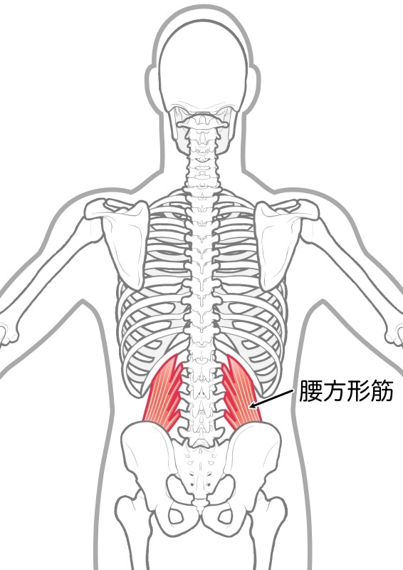 腰方形筋