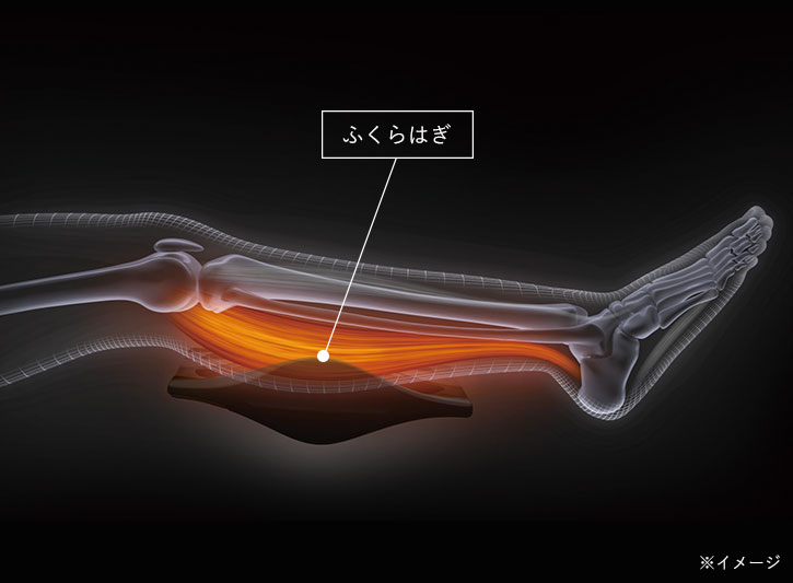 「第二の心臓」であるふくらはぎの筋肉を直接アプローチ